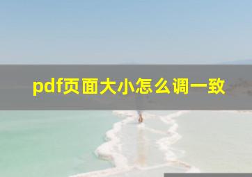 pdf页面大小怎么调一致