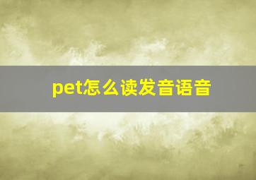 pet怎么读发音语音