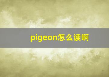 pigeon怎么读啊