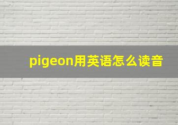 pigeon用英语怎么读音