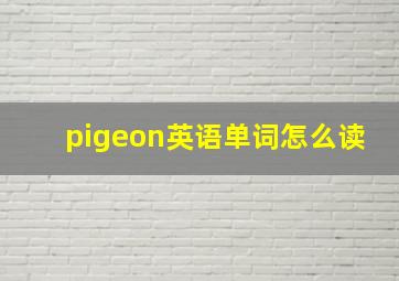 pigeon英语单词怎么读