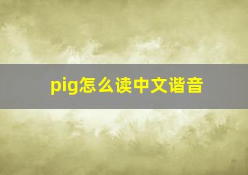 pig怎么读中文谐音