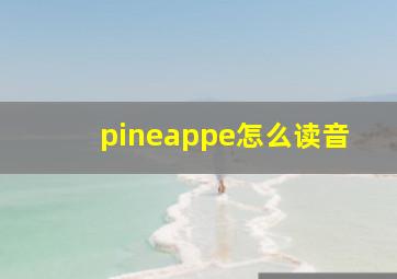 pineappe怎么读音