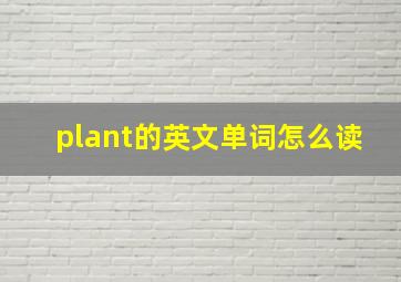 plant的英文单词怎么读