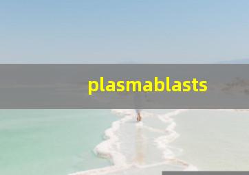 plasmablasts