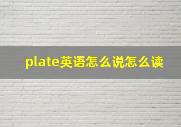 plate英语怎么说怎么读