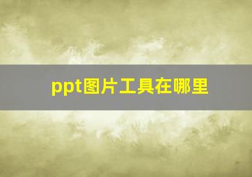 ppt图片工具在哪里