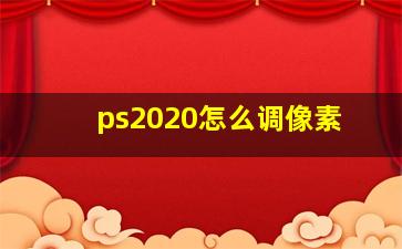 ps2020怎么调像素