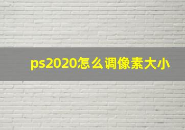 ps2020怎么调像素大小