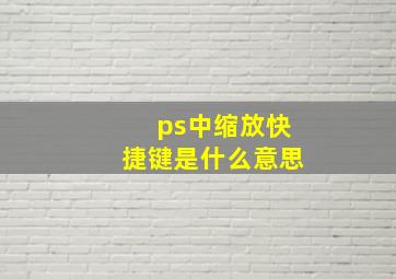 ps中缩放快捷键是什么意思