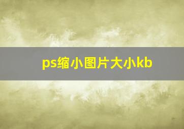 ps缩小图片大小kb