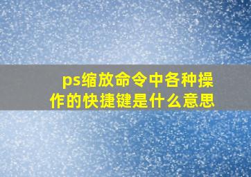 ps缩放命令中各种操作的快捷键是什么意思