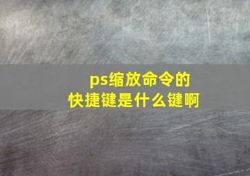 ps缩放命令的快捷键是什么键啊