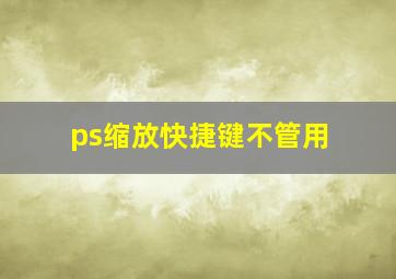 ps缩放快捷键不管用