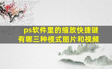 ps软件里的缩放快捷键有哪三种模式图片和视频