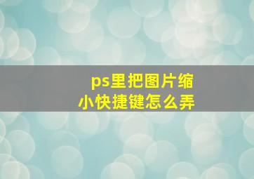 ps里把图片缩小快捷键怎么弄