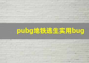 pubg地铁逃生实用bug