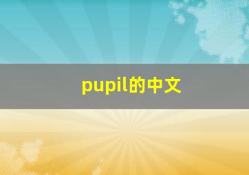 pupil的中文