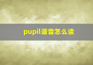 pupil谐音怎么读