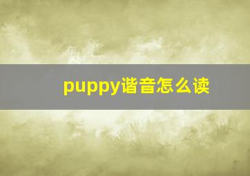 puppy谐音怎么读