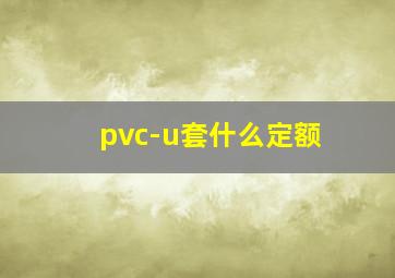 pvc-u套什么定额