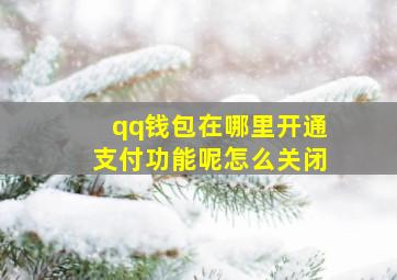 qq钱包在哪里开通支付功能呢怎么关闭