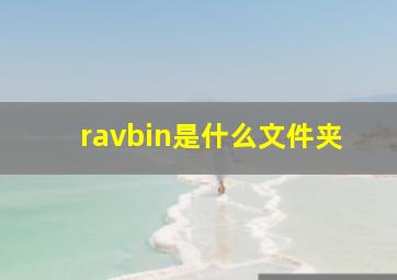 ravbin是什么文件夹