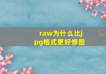 raw为什么比jpg格式更好修图