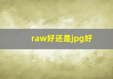 raw好还是jpg好