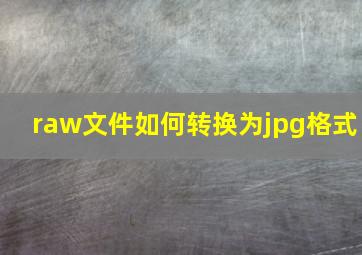 raw文件如何转换为jpg格式