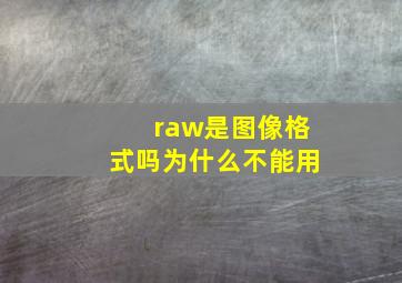 raw是图像格式吗为什么不能用