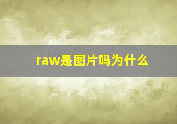 raw是图片吗为什么