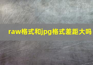 raw格式和jpg格式差距大吗