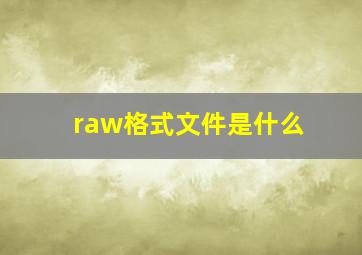 raw格式文件是什么