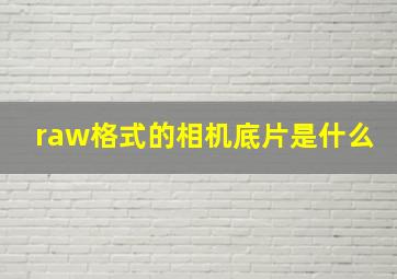 raw格式的相机底片是什么