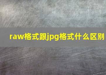 raw格式跟jpg格式什么区别