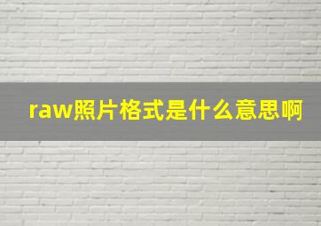 raw照片格式是什么意思啊