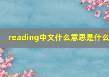 reading中文什么意思是什么