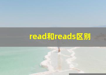 read和reads区别