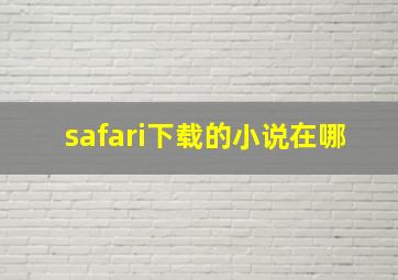 safari下载的小说在哪