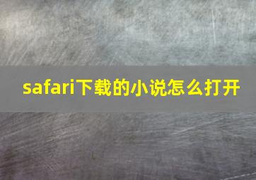 safari下载的小说怎么打开