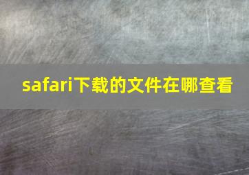 safari下载的文件在哪查看