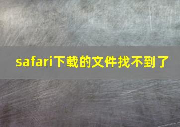 safari下载的文件找不到了