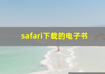 safari下载的电子书