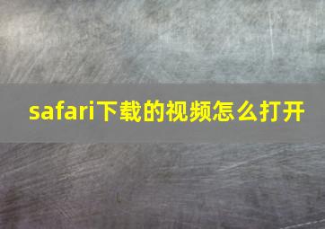 safari下载的视频怎么打开