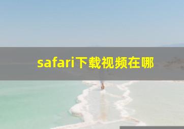 safari下载视频在哪