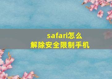 safari怎么解除安全限制手机