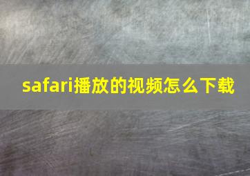 safari播放的视频怎么下载