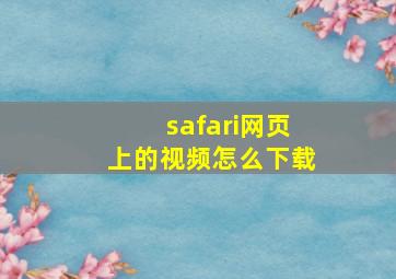 safari网页上的视频怎么下载