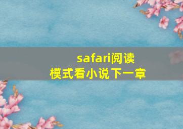 safari阅读模式看小说下一章